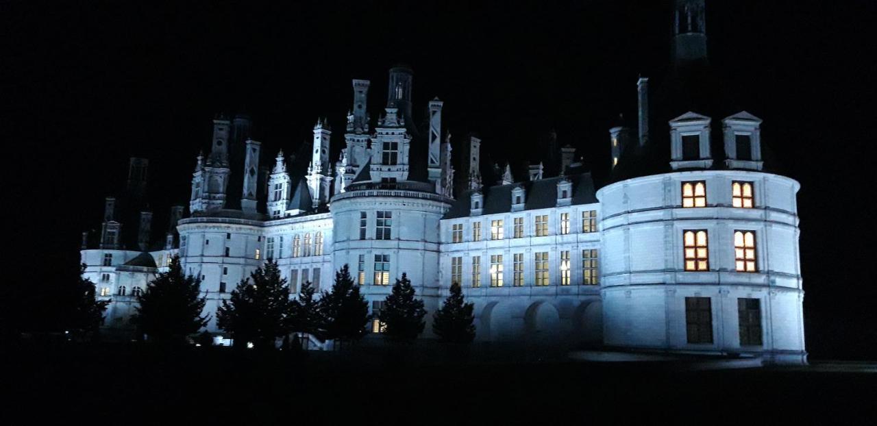 L'Orme Seul, Maison D'Hotes ヴィヌィユ エクステリア 写真