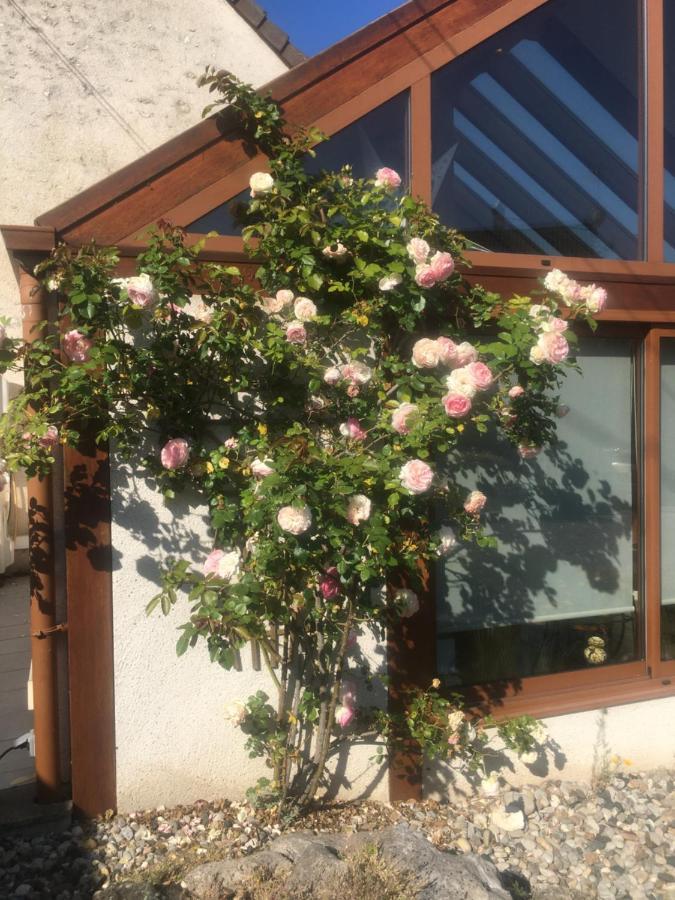 L'Orme Seul, Maison D'Hotes ヴィヌィユ エクステリア 写真